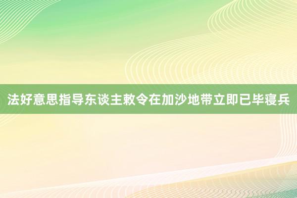 法好意思指导东谈主敕令在加沙地带立即已毕寝兵