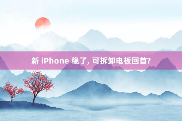 新 iPhone 稳了, 可拆卸电板回首?