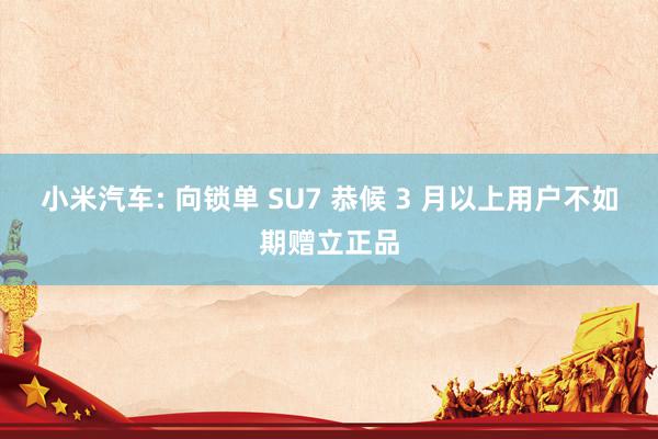 小米汽车: 向锁单 SU7 恭候 3 月以上用户不如期赠立正品