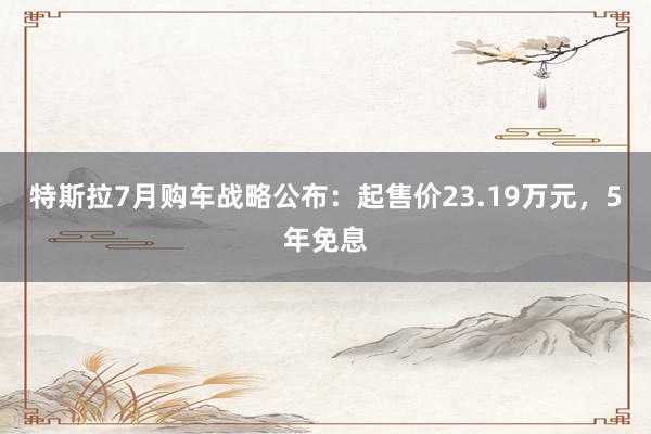 特斯拉7月购车战略公布：起售价23.19万元，5年免息