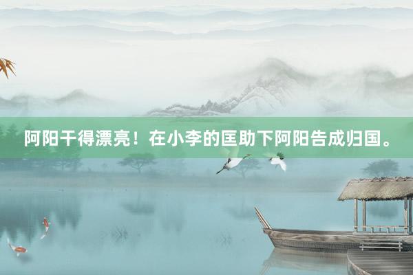 阿阳干得漂亮！在小李的匡助下阿阳告成归国。