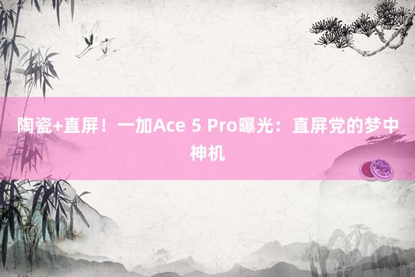 陶瓷+直屏！一加Ace 5 Pro曝光：直屏党的梦中神机