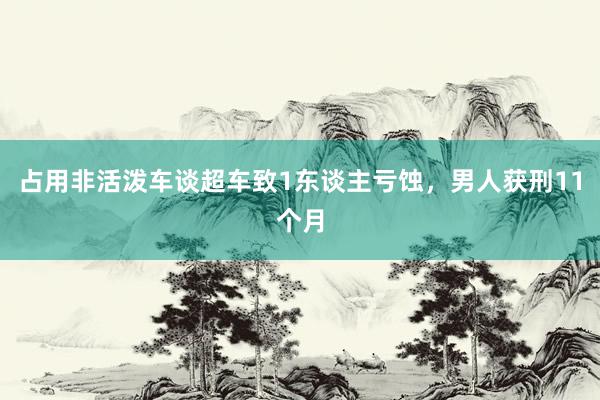 占用非活泼车谈超车致1东谈主亏蚀，男人获刑11个月