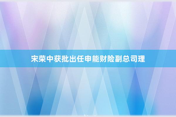 宋荣中获批出任申能财险副总司理