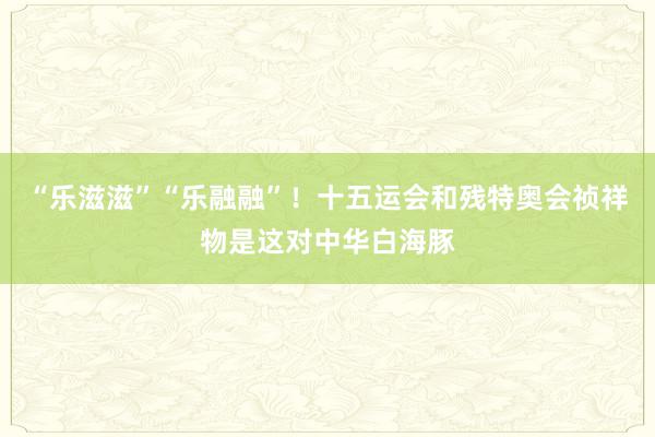 “乐滋滋”“乐融融”！十五运会和残特奥会祯祥物是这对中华白海豚