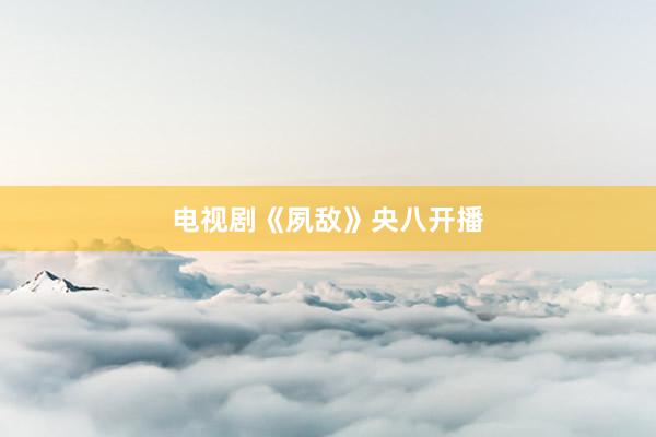 电视剧《夙敌》央八开播